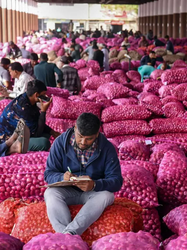 onion-prices-down